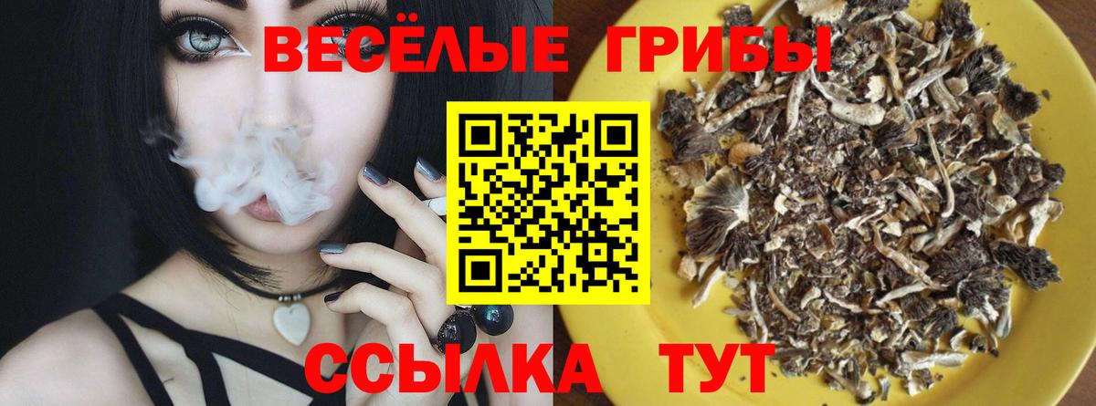 Псилоцибиновые грибы GOLDEN TEACHER Лабинск